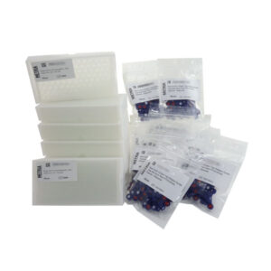 CONFEZIONE RISPARMIO: PACK DI 1000 FIALE FILETTATE CON 1000 TAPPI CON SETTO
