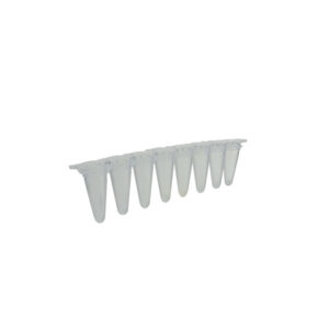 Strip di microprovette per qPCR