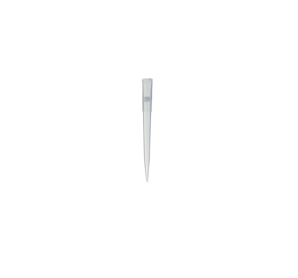 Puntale in PP con filtro per micropipetta, 1000 ul Premium Line