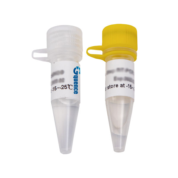 Mastermix PCR per lunghi frammenti x-VITA