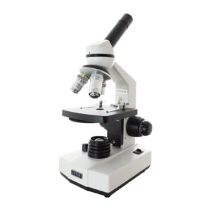 MICROSCOPIO BIOLOGICO, VISION