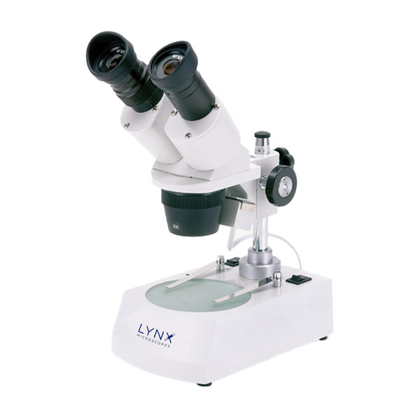 STEREOMICROSCOPIO, L45