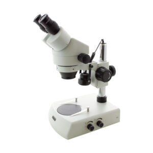 STEREOMICROSCOPIO, L90